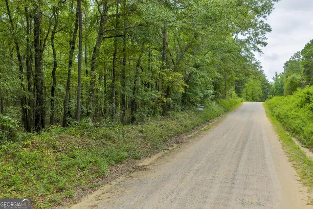 a view of a yard with plants