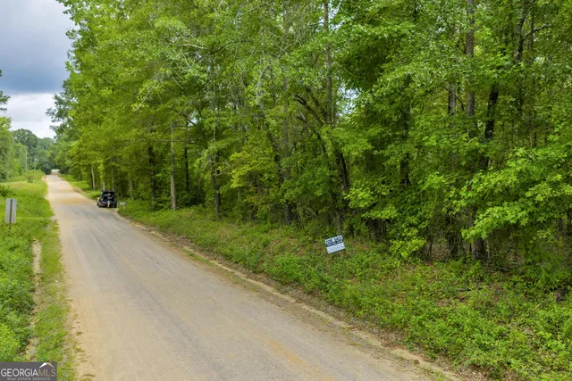 a view of a road with a yard