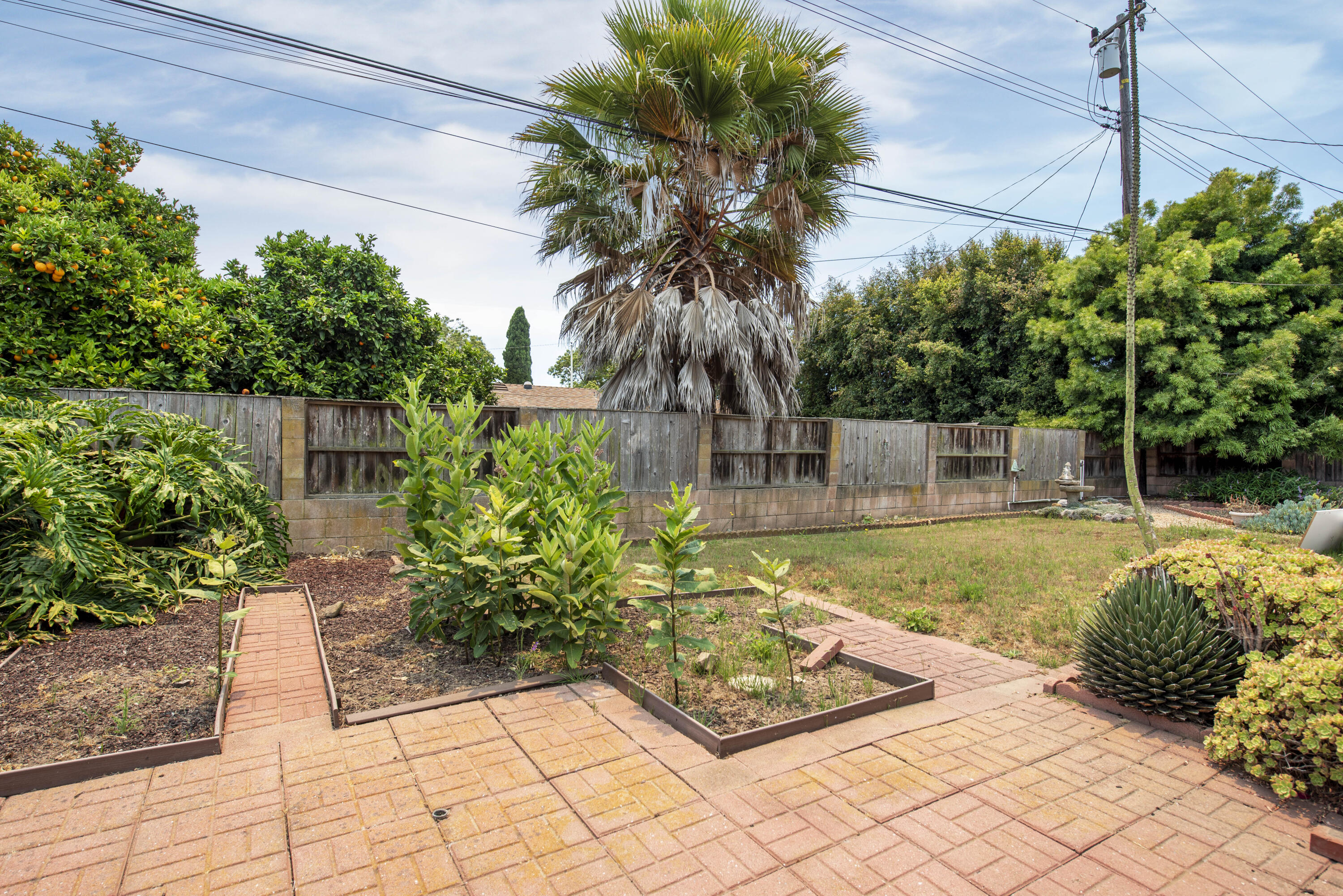 6237 Momouth Avenue Goleta, CA 93117 - Photo 17 of 20 a view of a backyard with plants and swimming pool