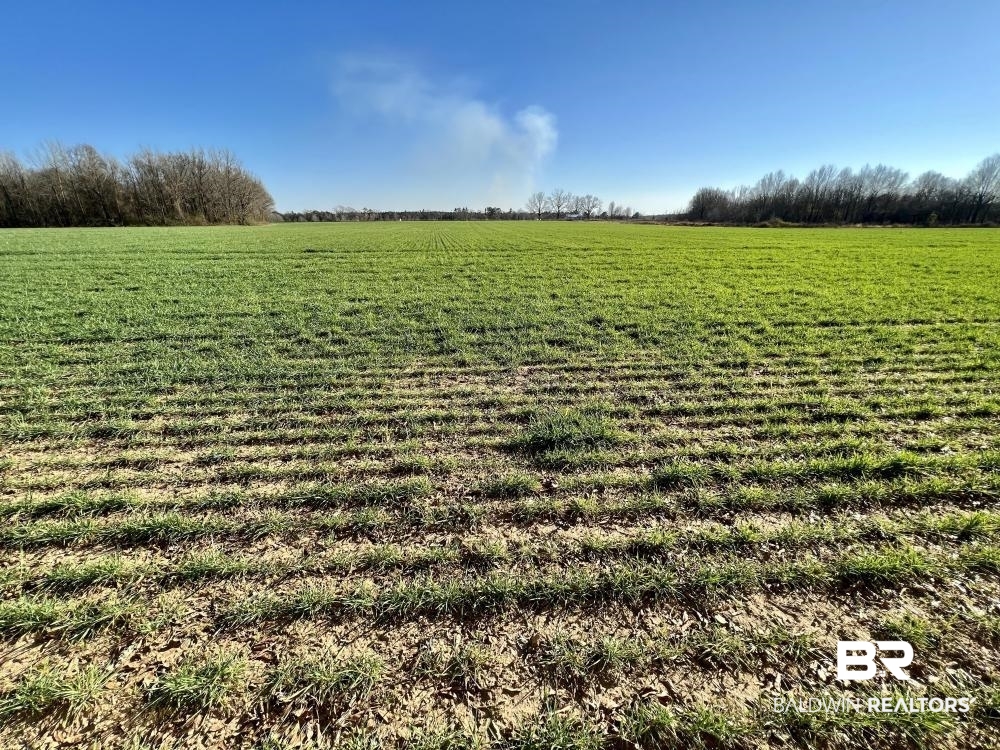 0 Byrd Road Atmore, AL 36502 - Photo 22 of 27 Gallery Image 22