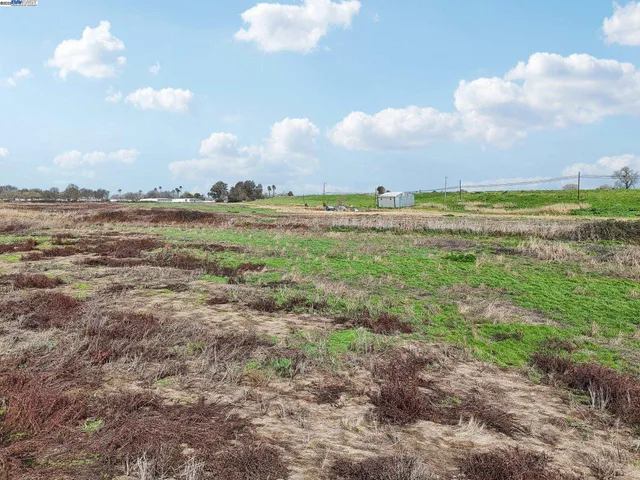 a view of a dry yard