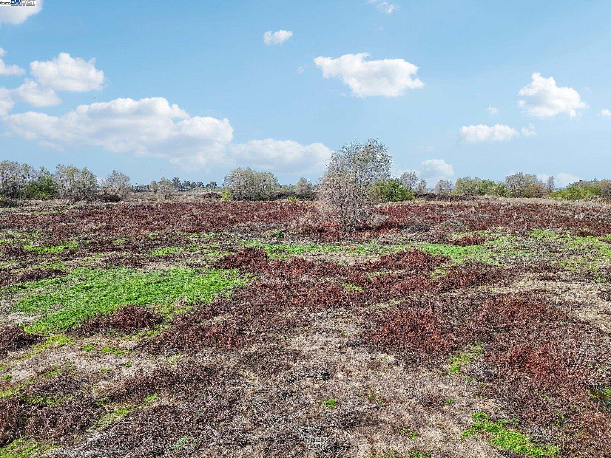 0 Brannan Isle Road Isleton, CA 95641 - Photo 12 of 19