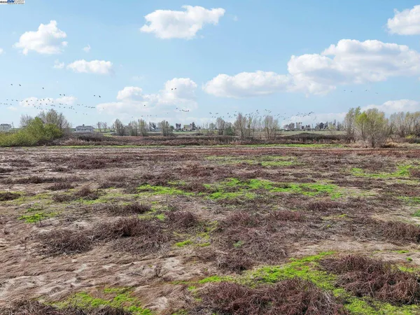 a view of beach and ocean