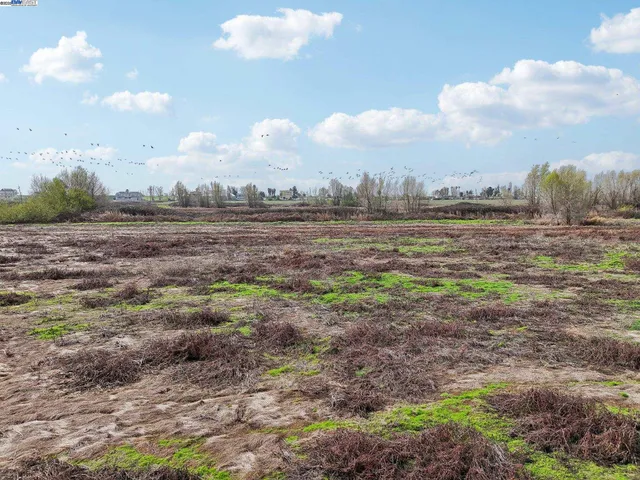 a view of beach and ocean