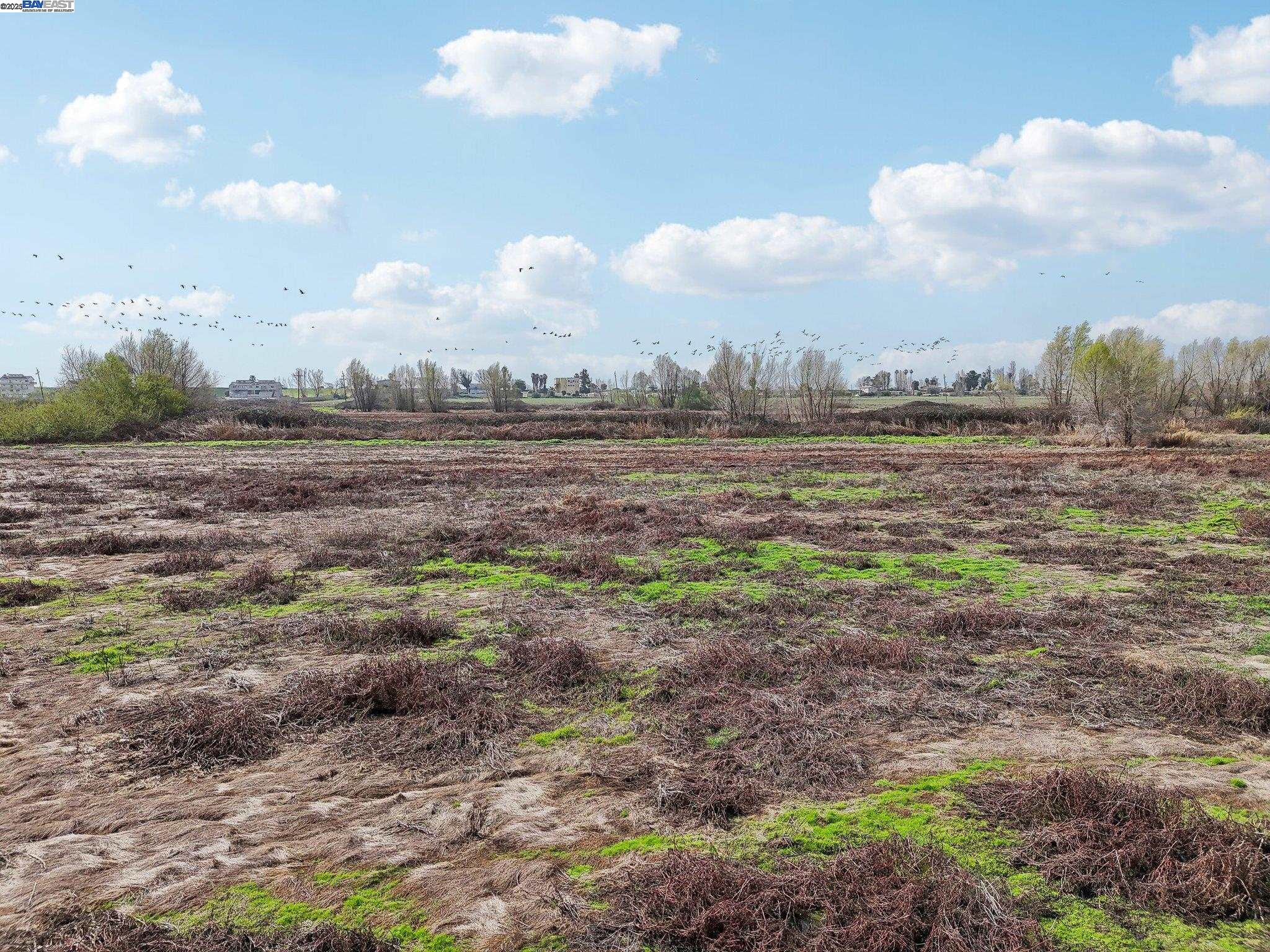 0 Brannan Isle Road Isleton, CA 95641 - Photo 13 of 19 a view of a dry yard