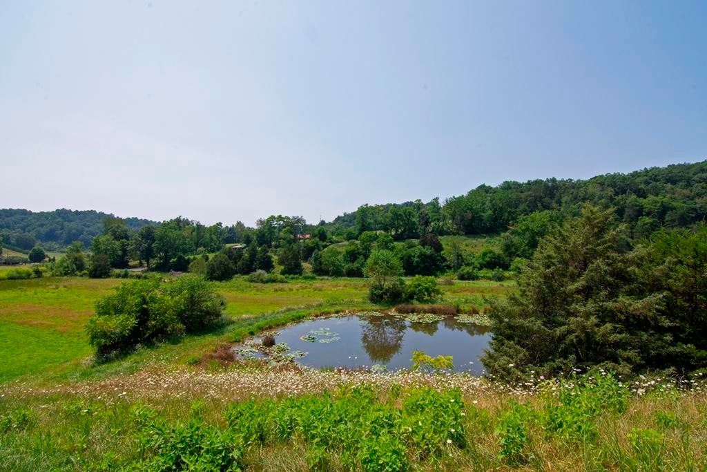 35 Co Route Forest Hill, WV 24935 - Photo 107 of 151 Gallery Image 107