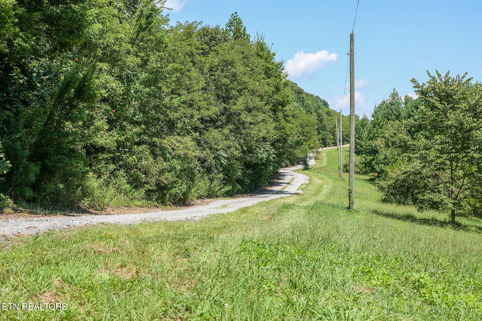 9 Flatwoods Road Philadelphia, TN 37846 - Photo 16 of 33 Flatwoods 16