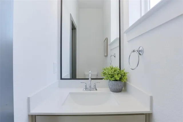 a bathroom with a potted plant