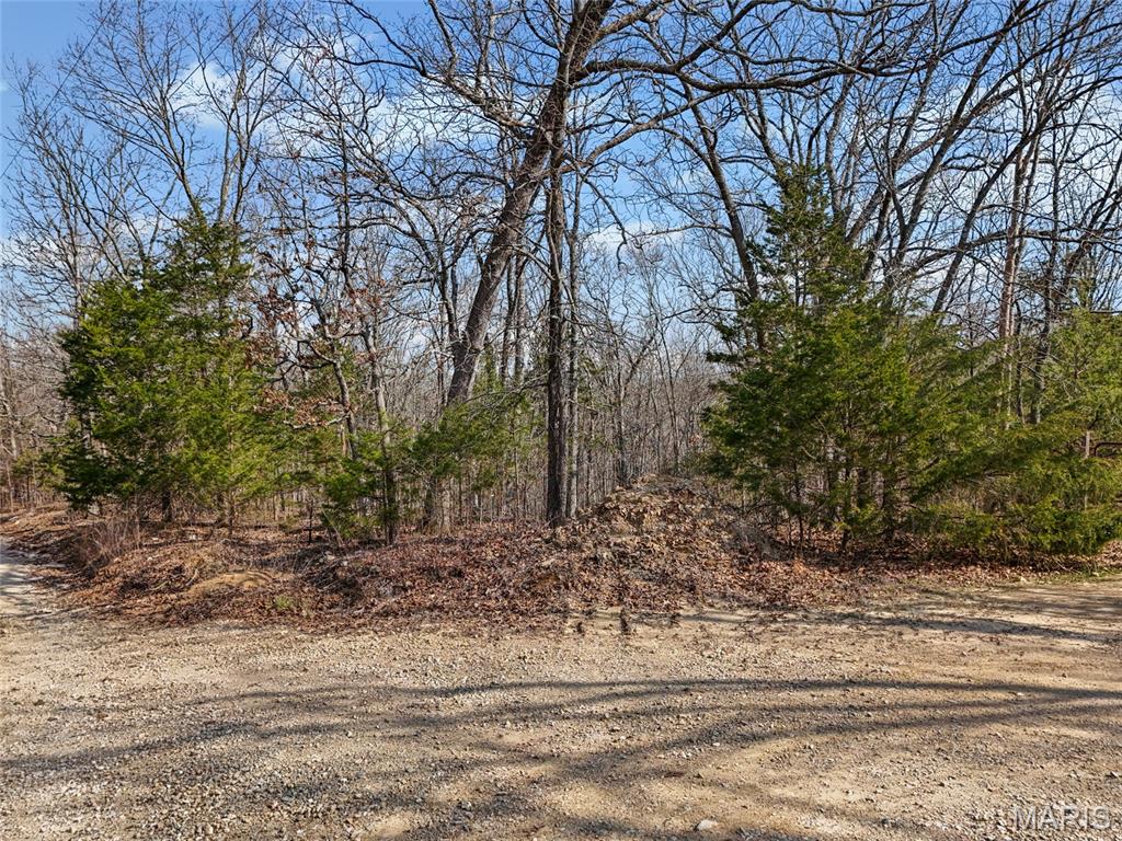 6000 Newman Road French Village, MO 63036 - Photo 11 of 16