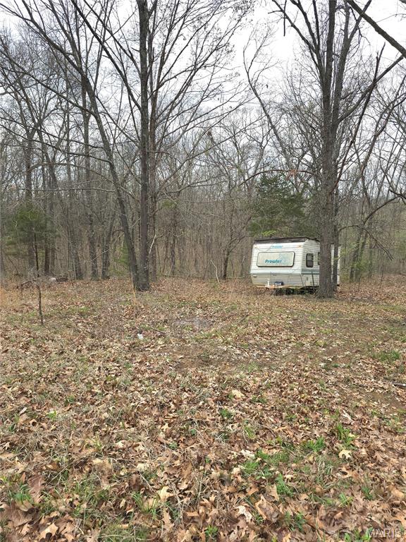 6000 Newman Road French Village, MO 63036 - Photo 15 of 16