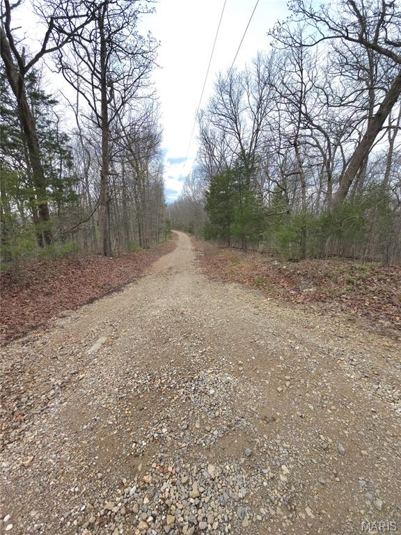 6000 Newman Road French Village, MO 63036 - Photo 3 of 16