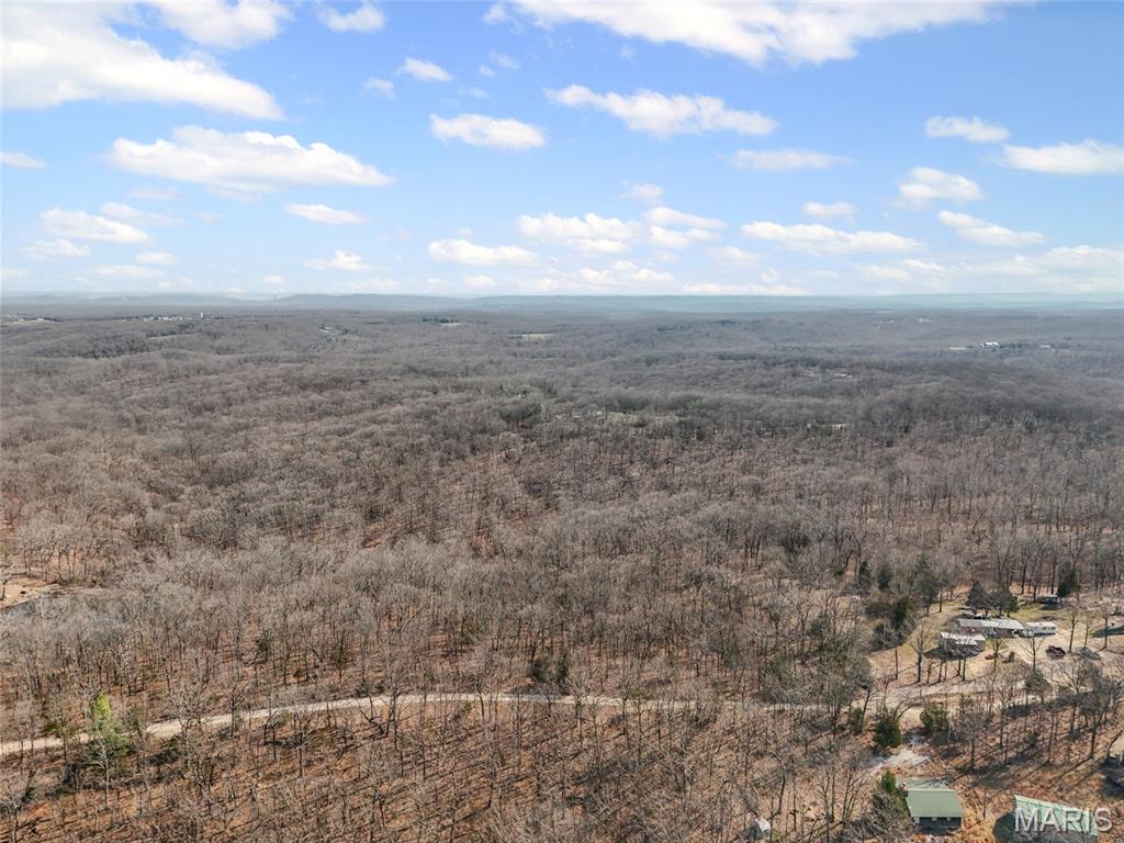 6000 Newman Road French Village, MO 63036 - Photo 7 of 16