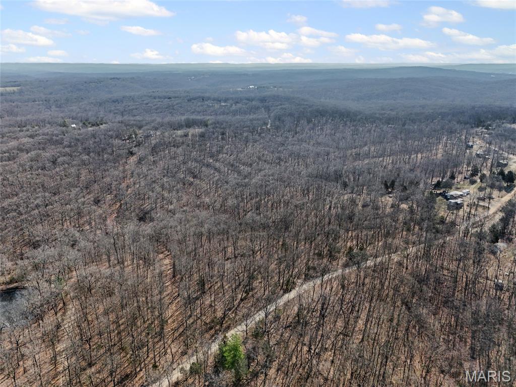 6000 Newman Road French Village, MO 63036 - Photo 8 of 16