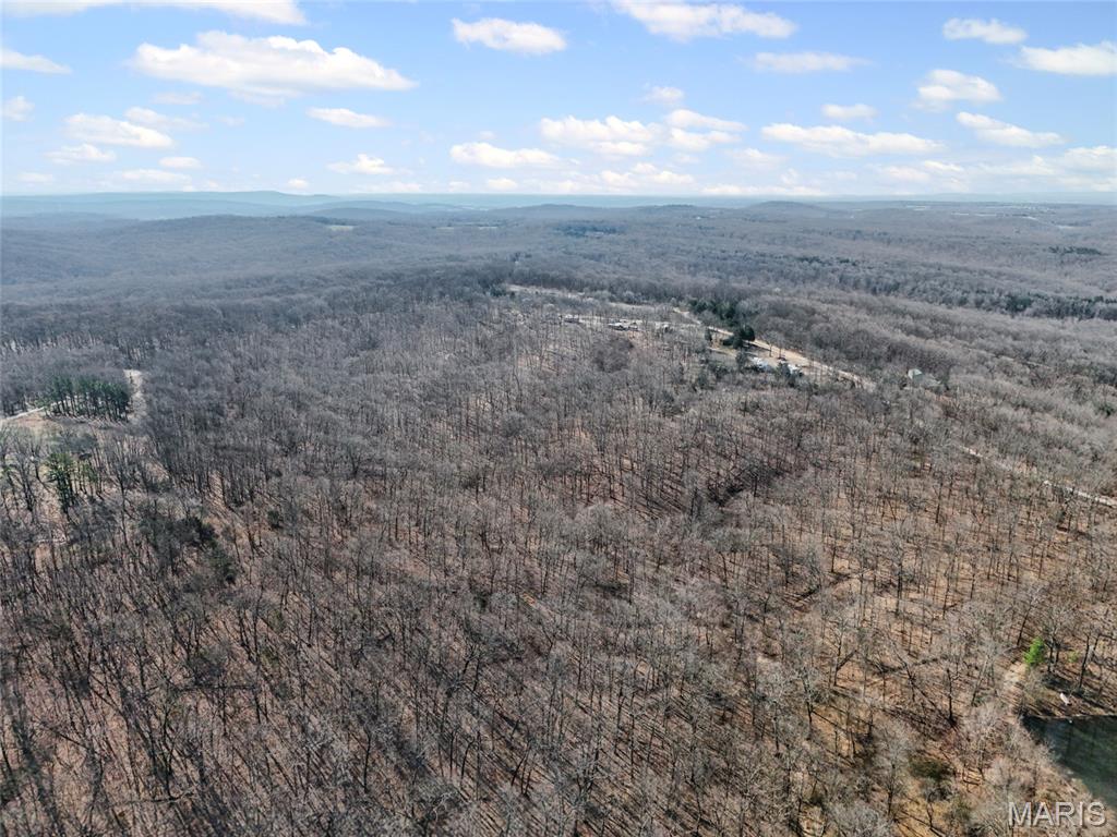 6000 Newman Road French Village, MO 63036 - Photo 9 of 16