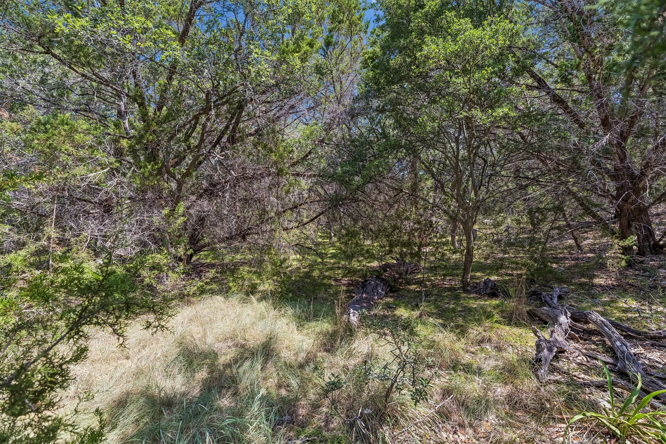 854 Maximino Ridge Road Bulverde, TX 78163 - Photo 13 of 32 Gallery Image 13