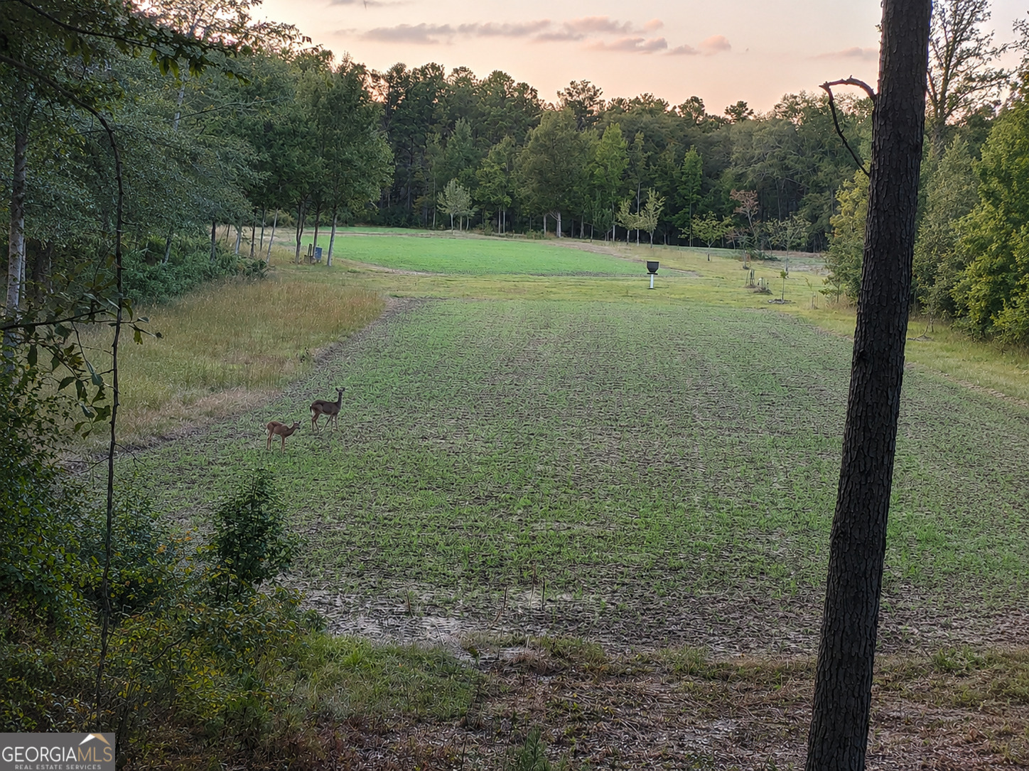 86.92 H B Dixon Road Sparta, GA 31087 - Photo 64 of 64 Gallery Image 64