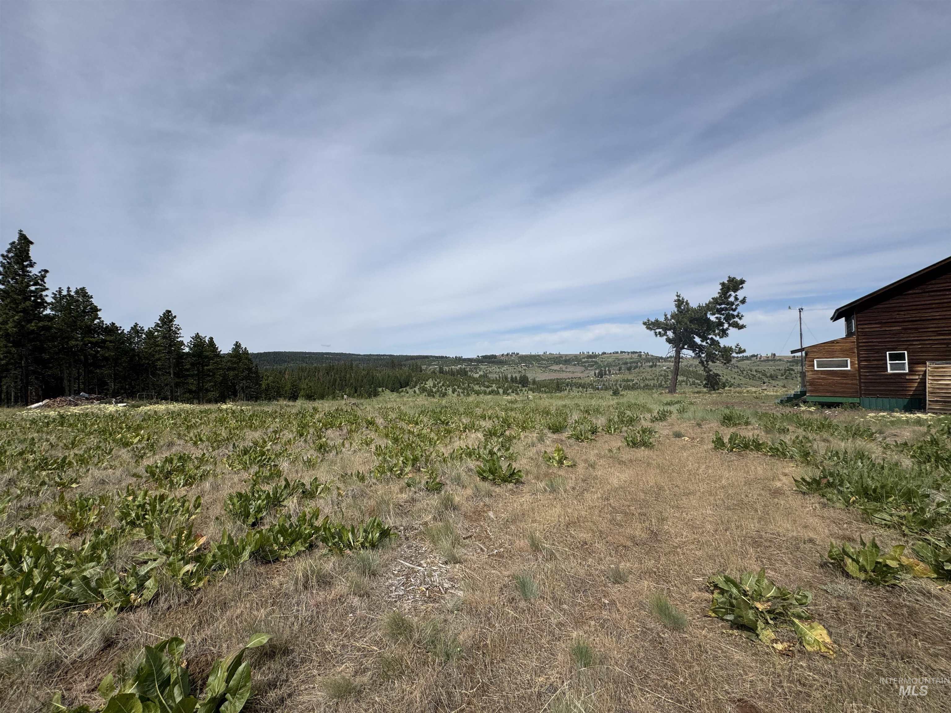 100 Rock Hill Road Pomeroy, WA 99347 - Photo 33 of 48