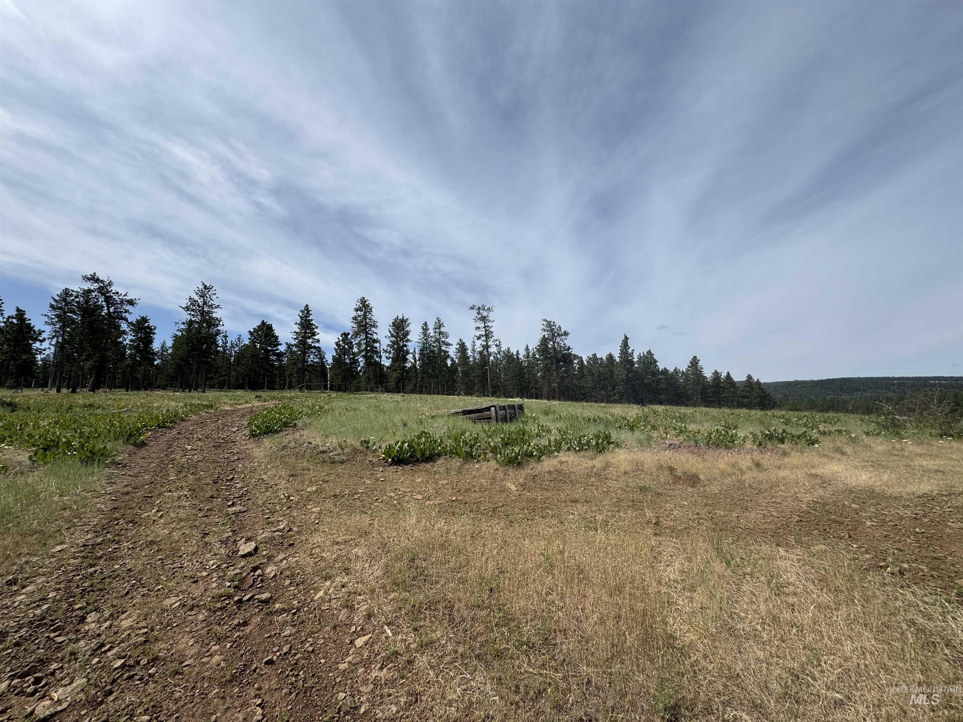 100 Rock Hill Road Pomeroy, WA 99347 - Photo 36 of 48 View of undeveloped land with rural landscape
