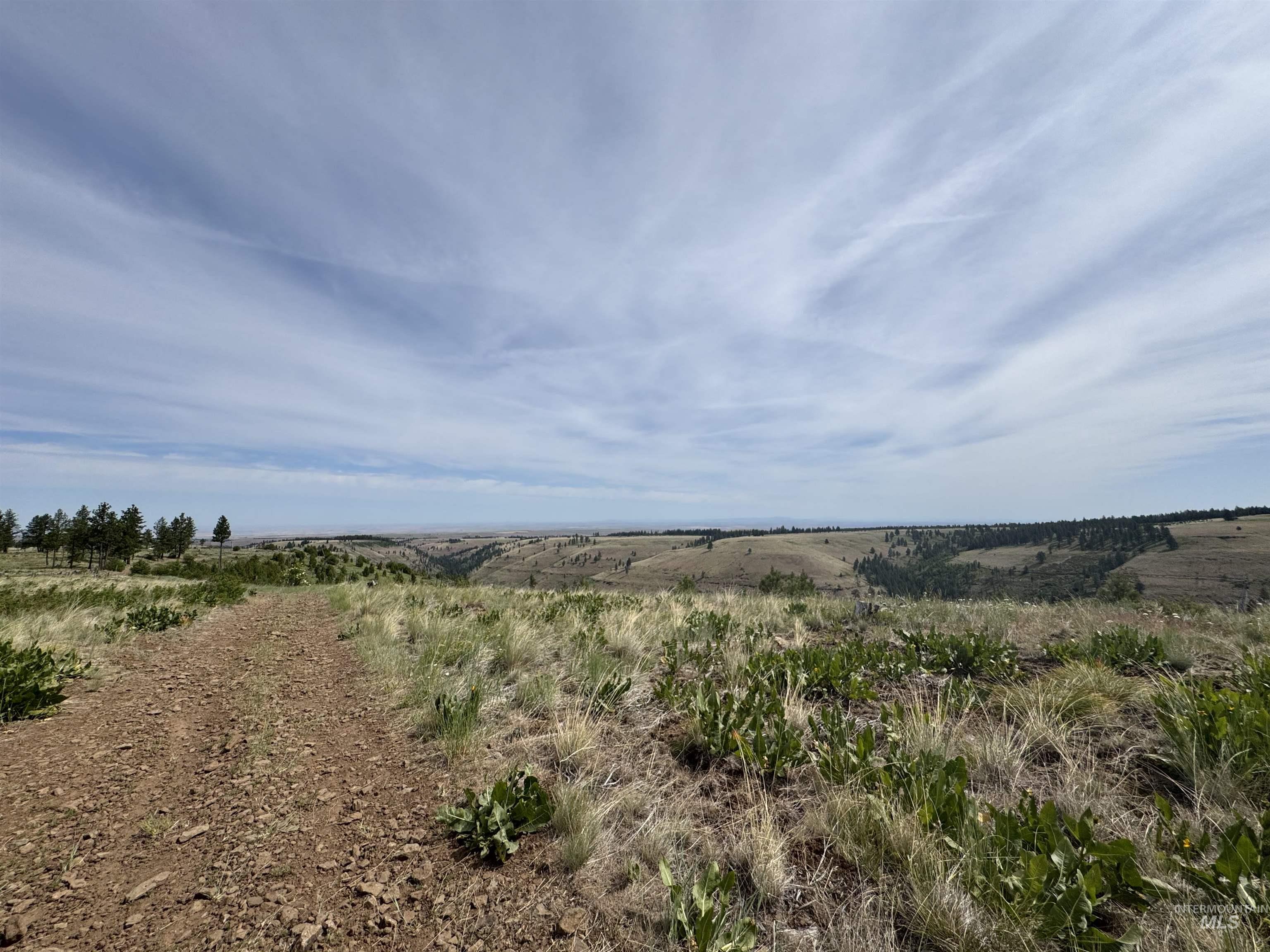 100 Rock Hill Road Pomeroy, WA 99347 - Photo 37 of 48 View of local wilderness featuring rural landscape