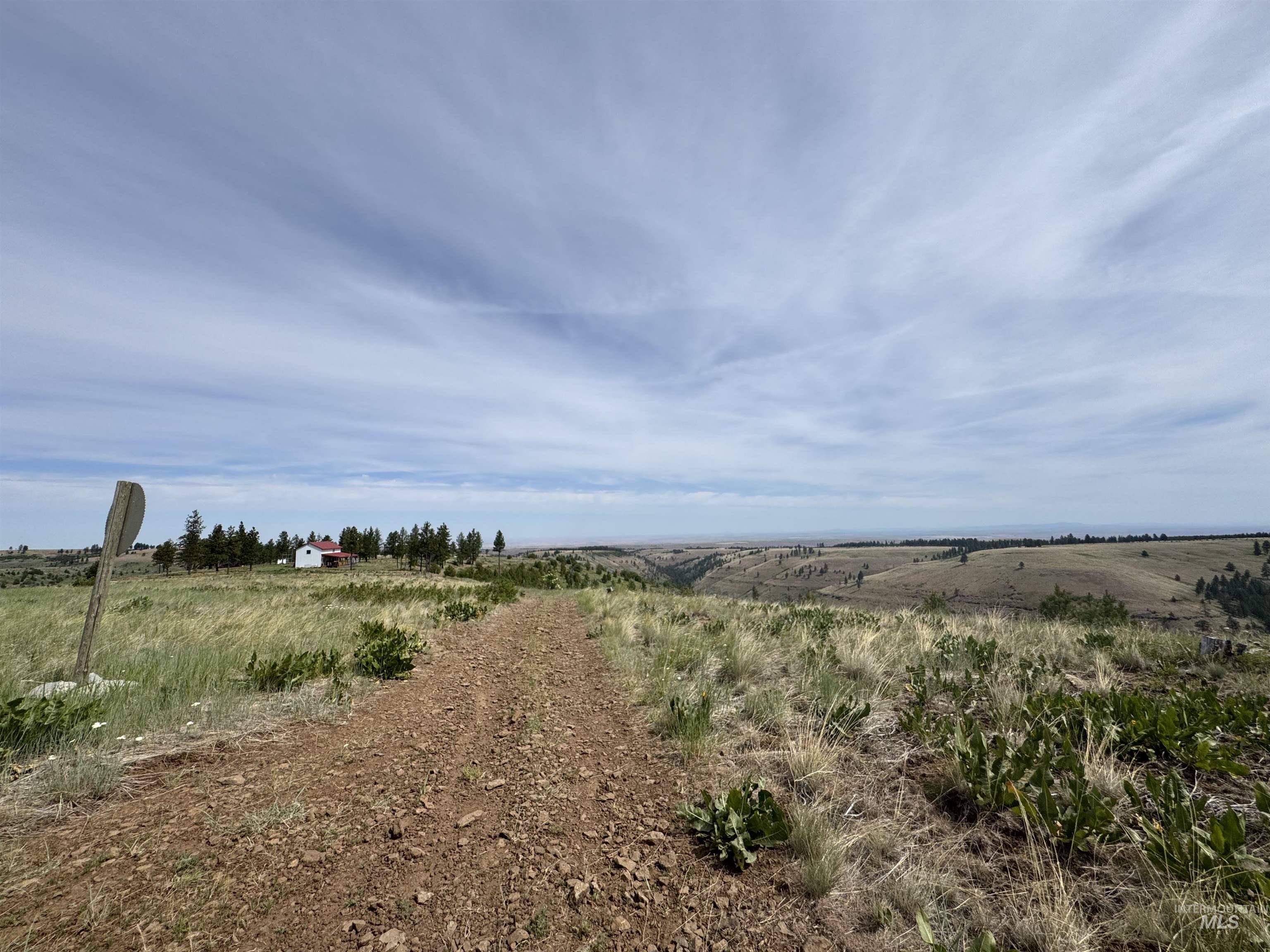 100 Rock Hill Road Pomeroy, WA 99347 - Photo 38 of 48 View of local wilderness with rural landscape