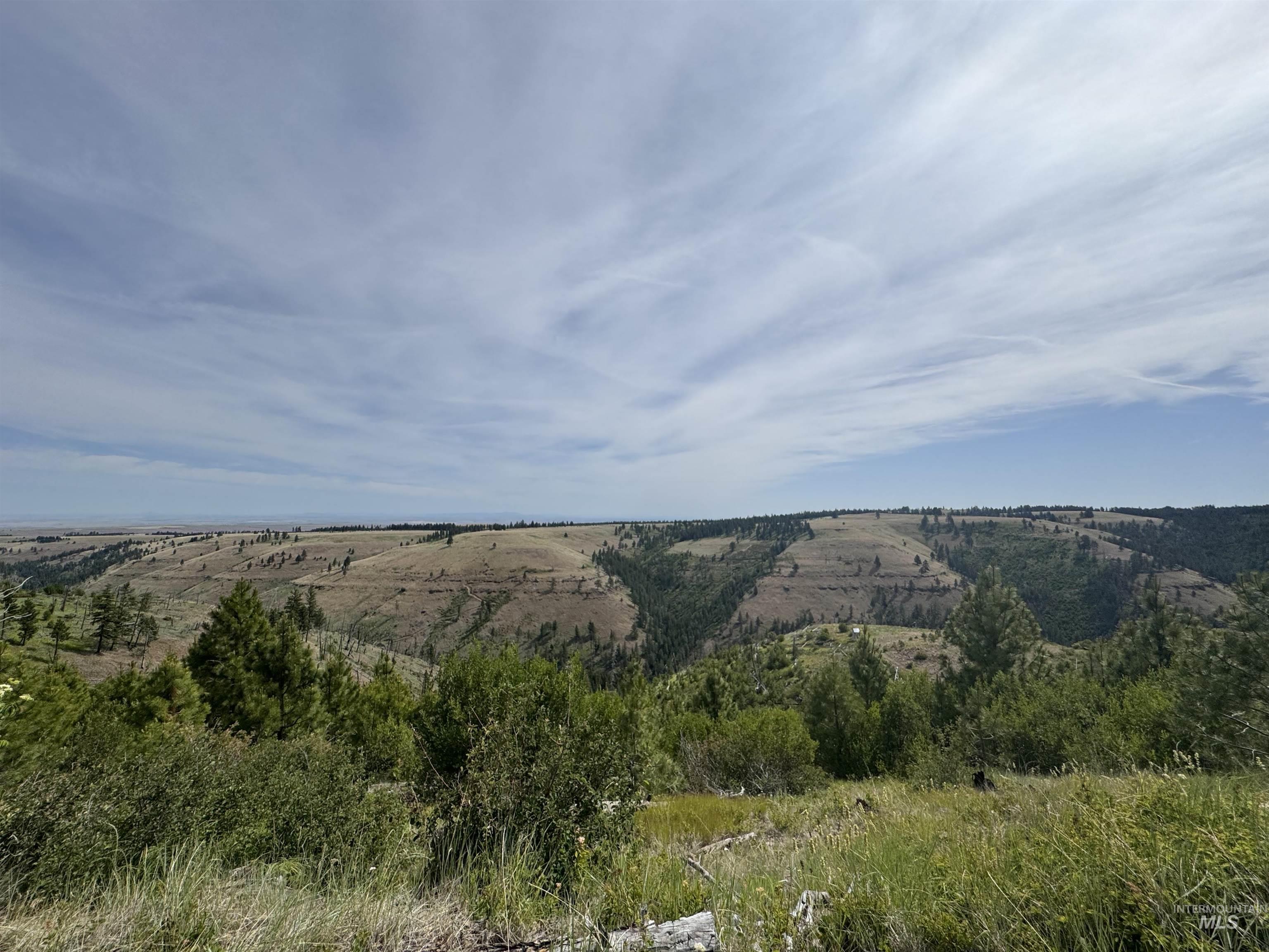 100 Rock Hill Road Pomeroy, WA 99347 - Photo 39 of 48 View of mountain background