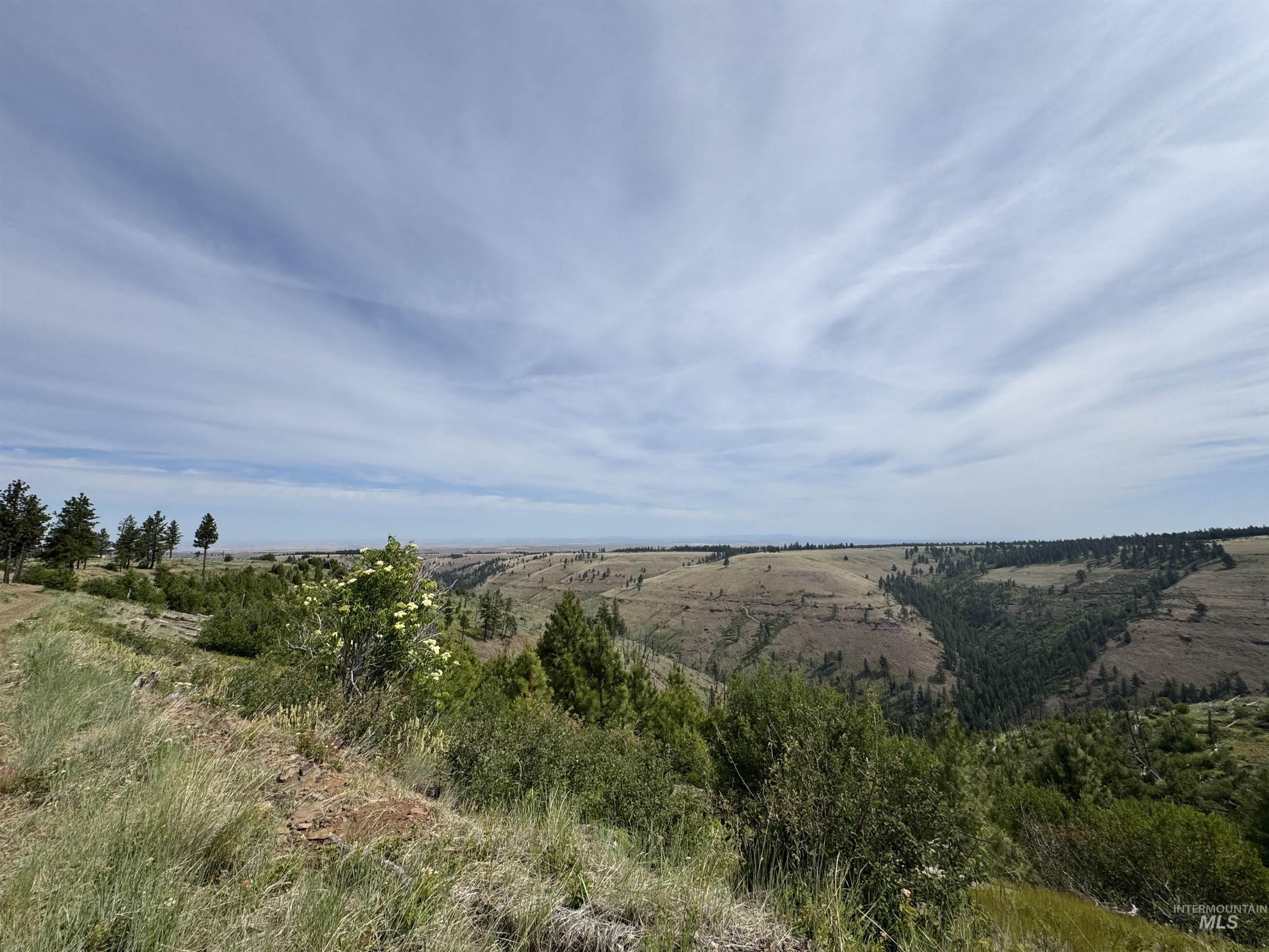100 Rock Hill Road Pomeroy, WA 99347 - Photo 40 of 48 View of nature featuring rural landscape