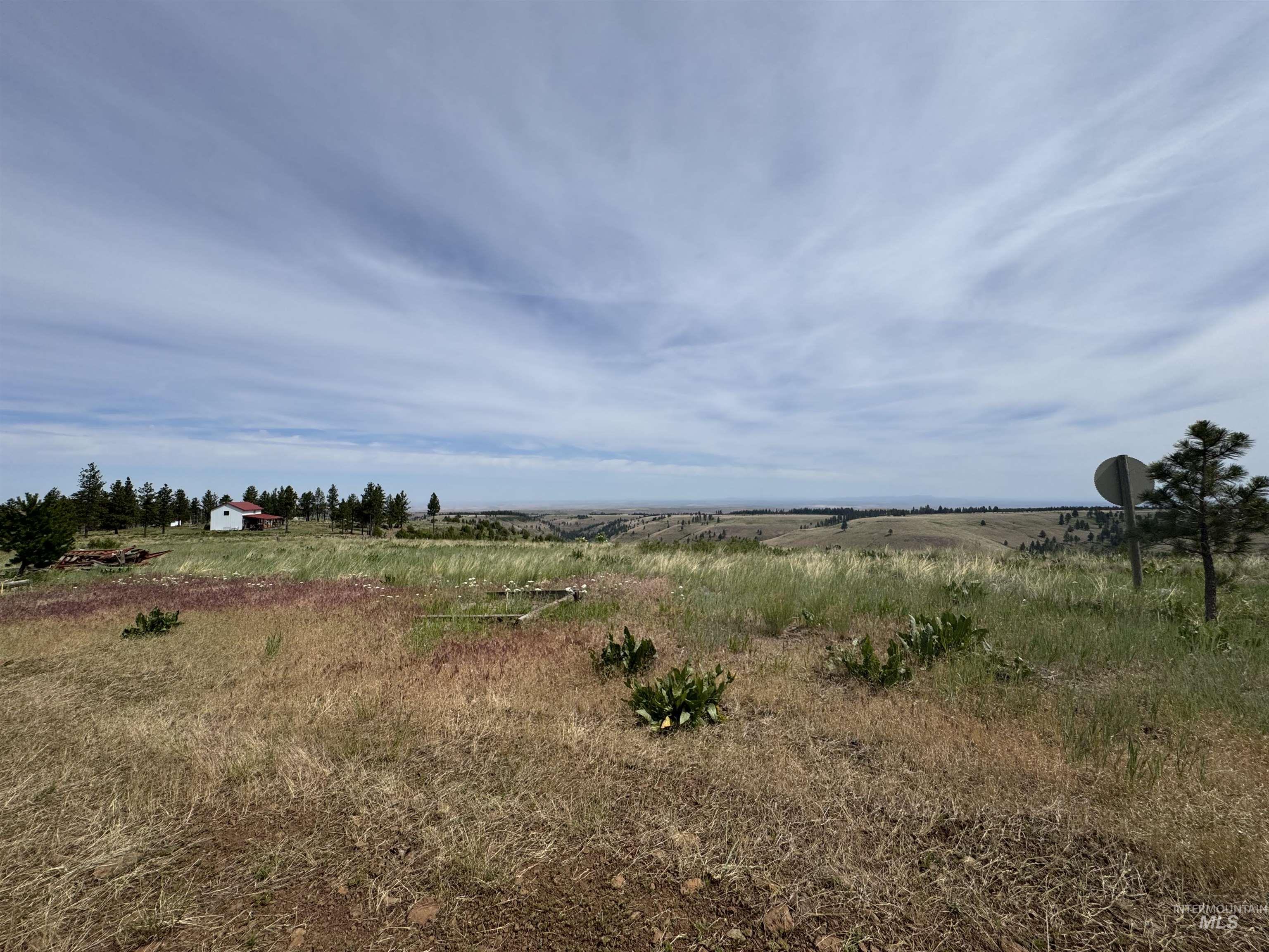 100 Rock Hill Road Pomeroy, WA 99347 - Photo 42 of 48 View of undeveloped land featuring rural landscape