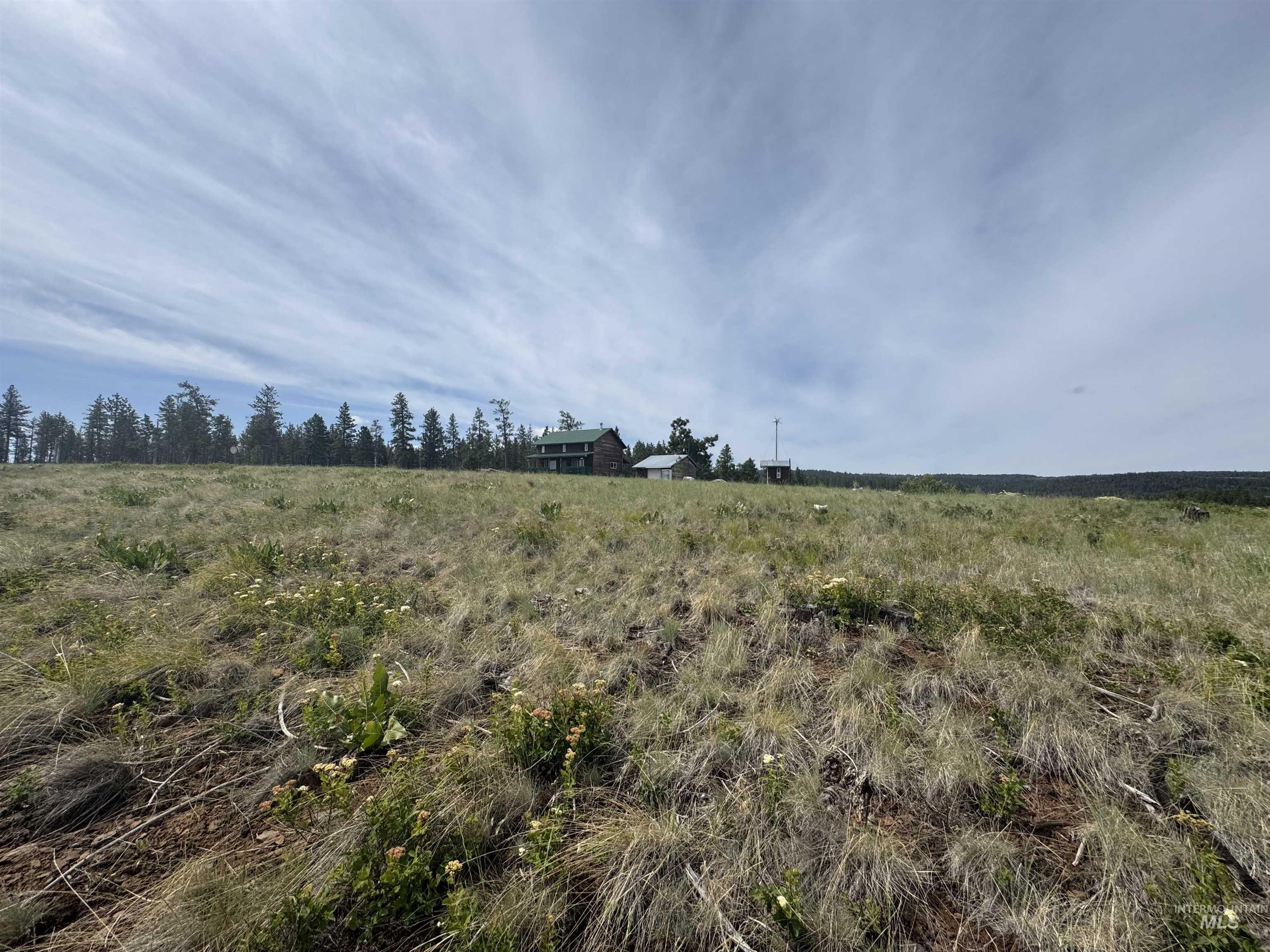 100 Rock Hill Road Pomeroy, WA 99347 - Photo 48 of 48 View of nature with rural landscape
