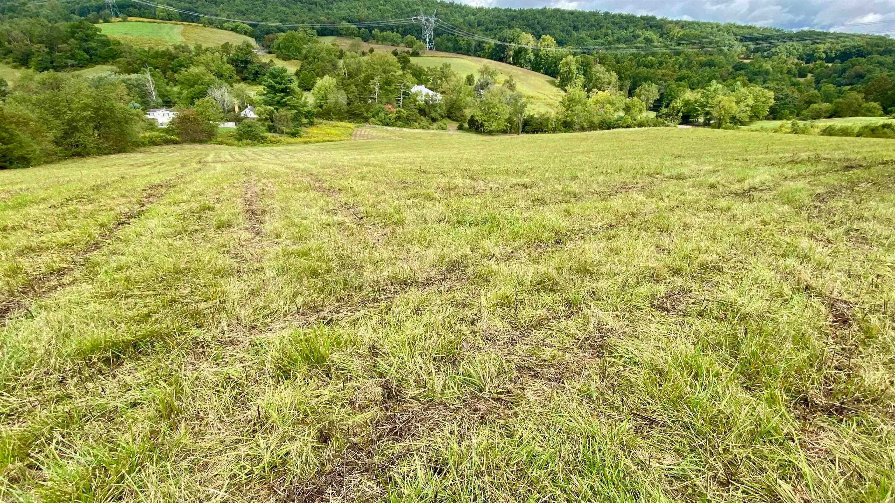 Tbd Castleton Road Max Meadows, VA 24360 - Photo 20 of 37 Gallery Image 20