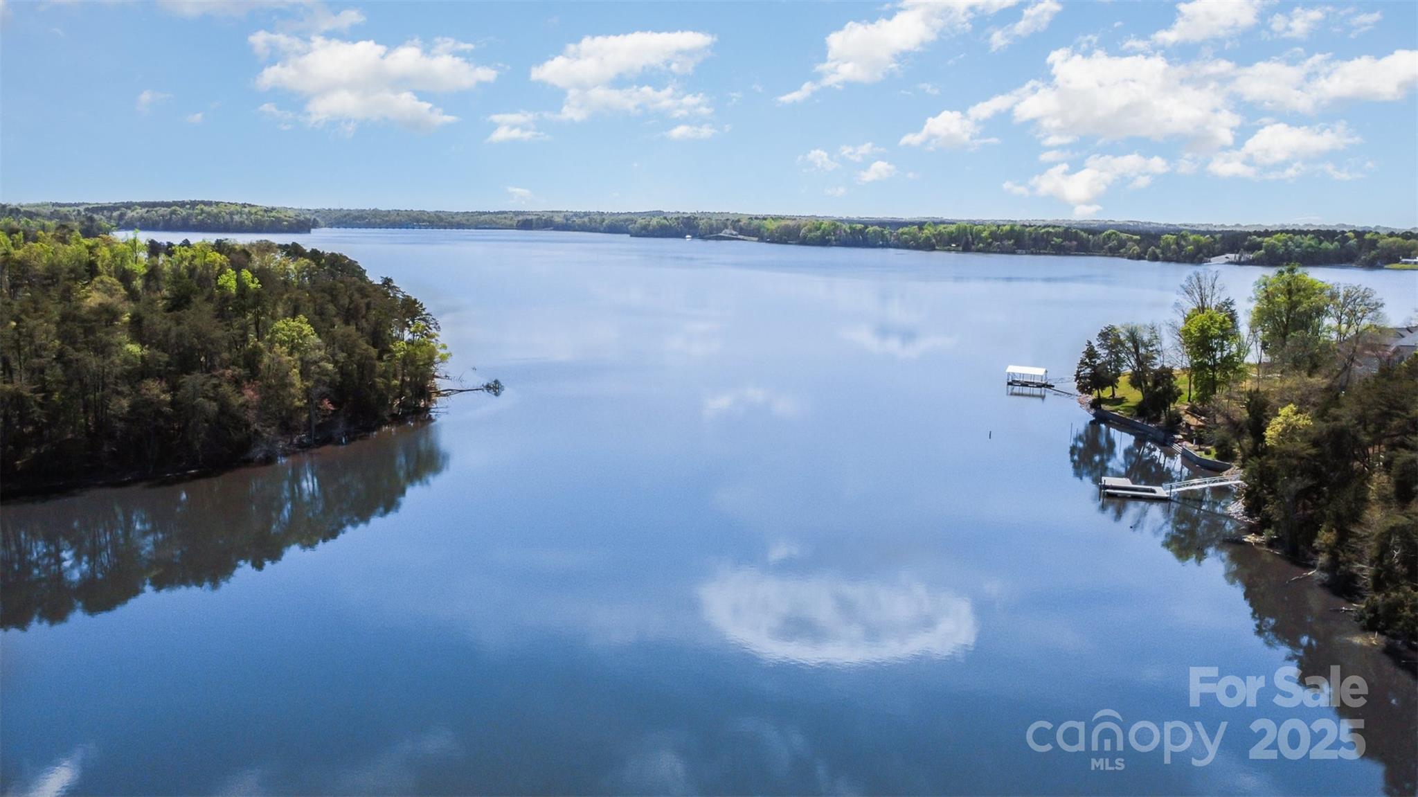 19650 Harbor Watch Court Lancaster, SC 29720 - Photo 3 of 47