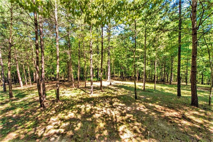 99 Reed Road Trenton, GA 30752 - Photo 11 of 12 20160830194919844040000000-o (2)