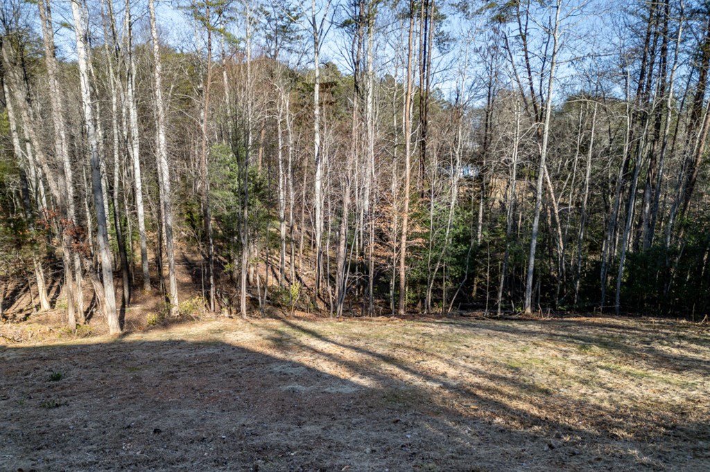 40 Huntington Ridge Road Blairsville, GA 30512 - Photo 60 of 83