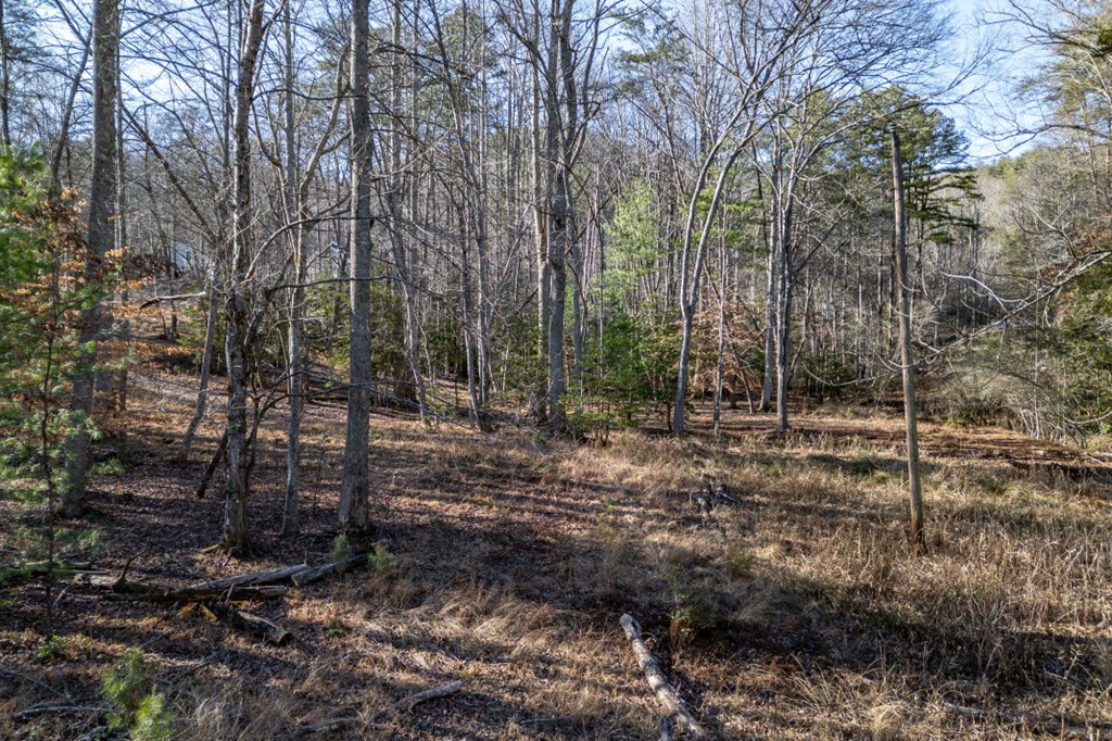 40 Huntington Ridge Road Blairsville, GA 30512 - Photo 61 of 83