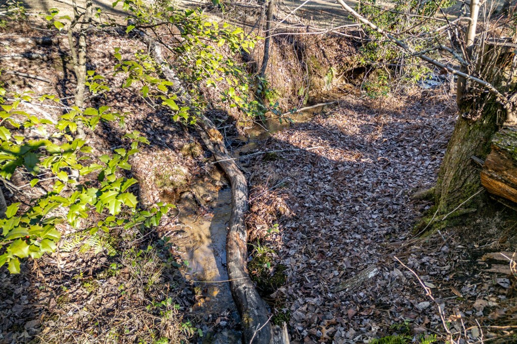 40 Huntington Ridge Road Blairsville, GA 30512 - Photo 62 of 83