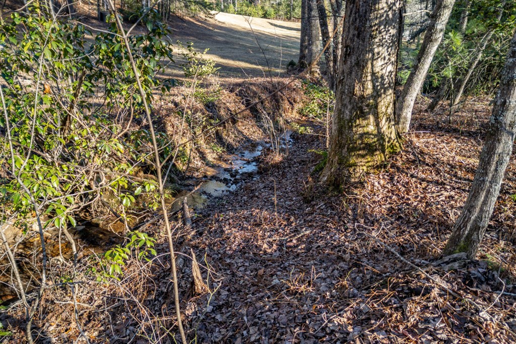 40 Huntington Ridge Road Blairsville, GA 30512 - Photo 63 of 83