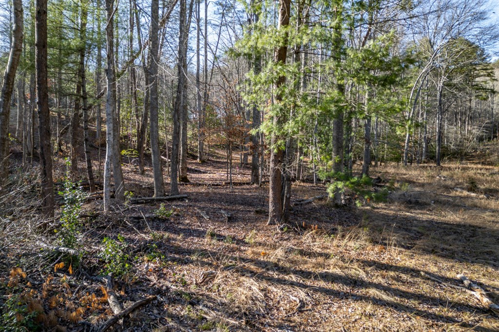 40 Huntington Ridge Road Blairsville, GA 30512 - Photo 64 of 83