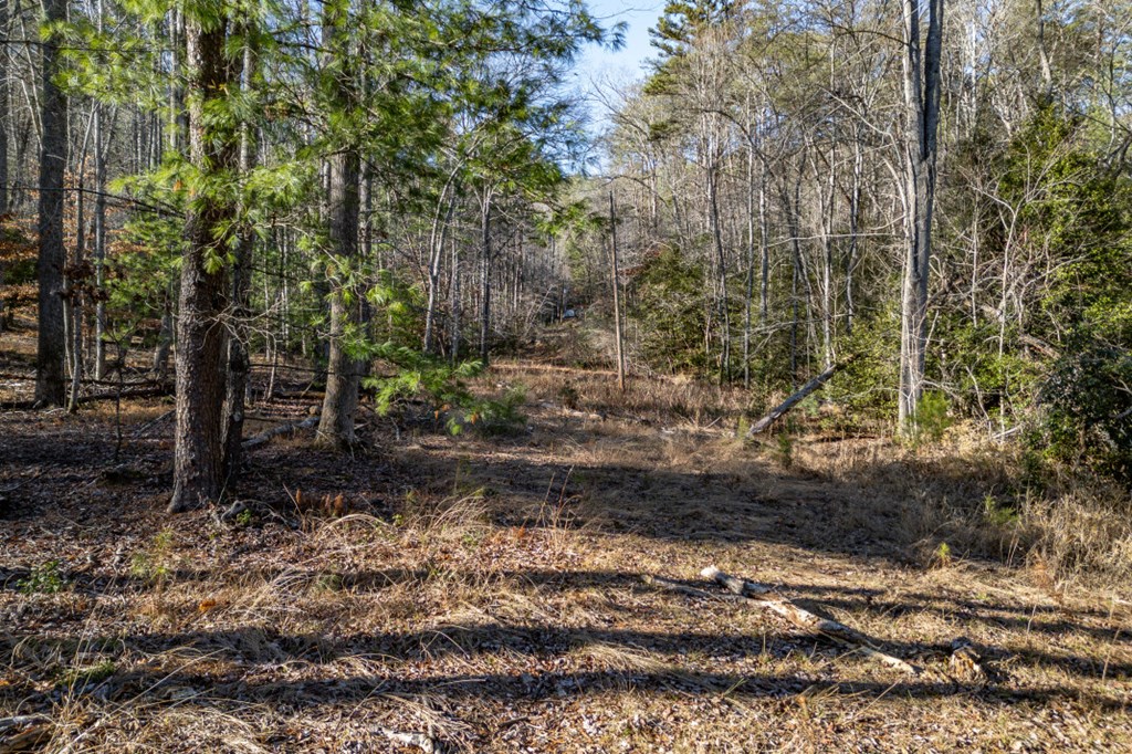 40 Huntington Ridge Road Blairsville, GA 30512 - Photo 66 of 83