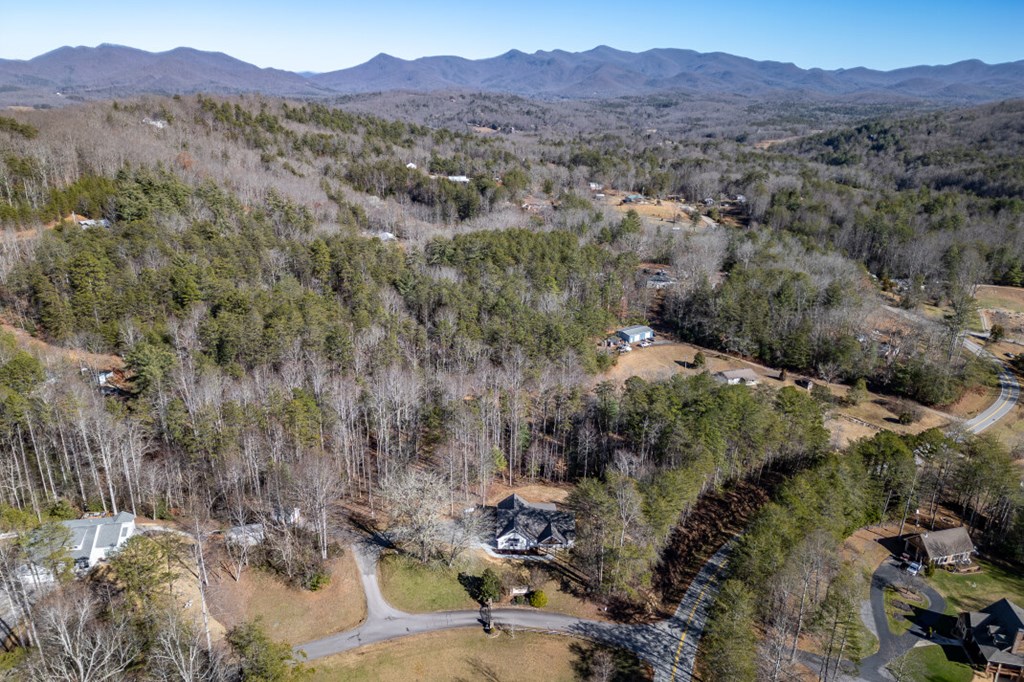 40 Huntington Ridge Road Blairsville, GA 30512 - Photo 80 of 83