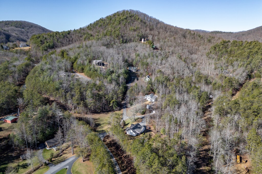 40 Huntington Ridge Road Blairsville, GA 30512 - Photo 81 of 83