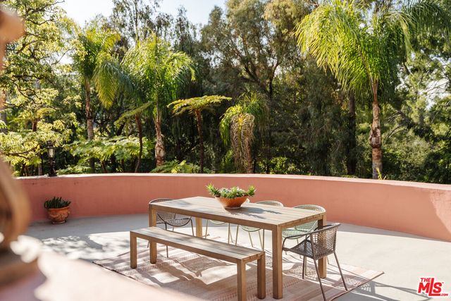 a view of a yard with plants and large trees