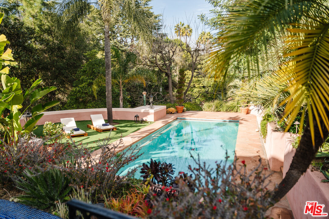 3131 Floye Drive Los Angeles, CA 90046 - Photo 39 of 53 a view of a yard with plants and large trees