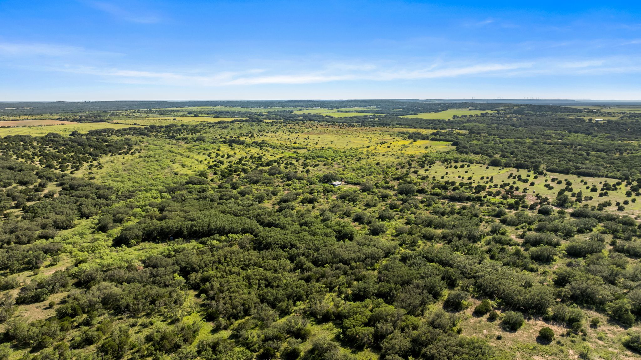2315 St Rochelle Tx 76872 Rochelle, TX 76872 - Photo 2 of 20 Bird's eye view of a forest