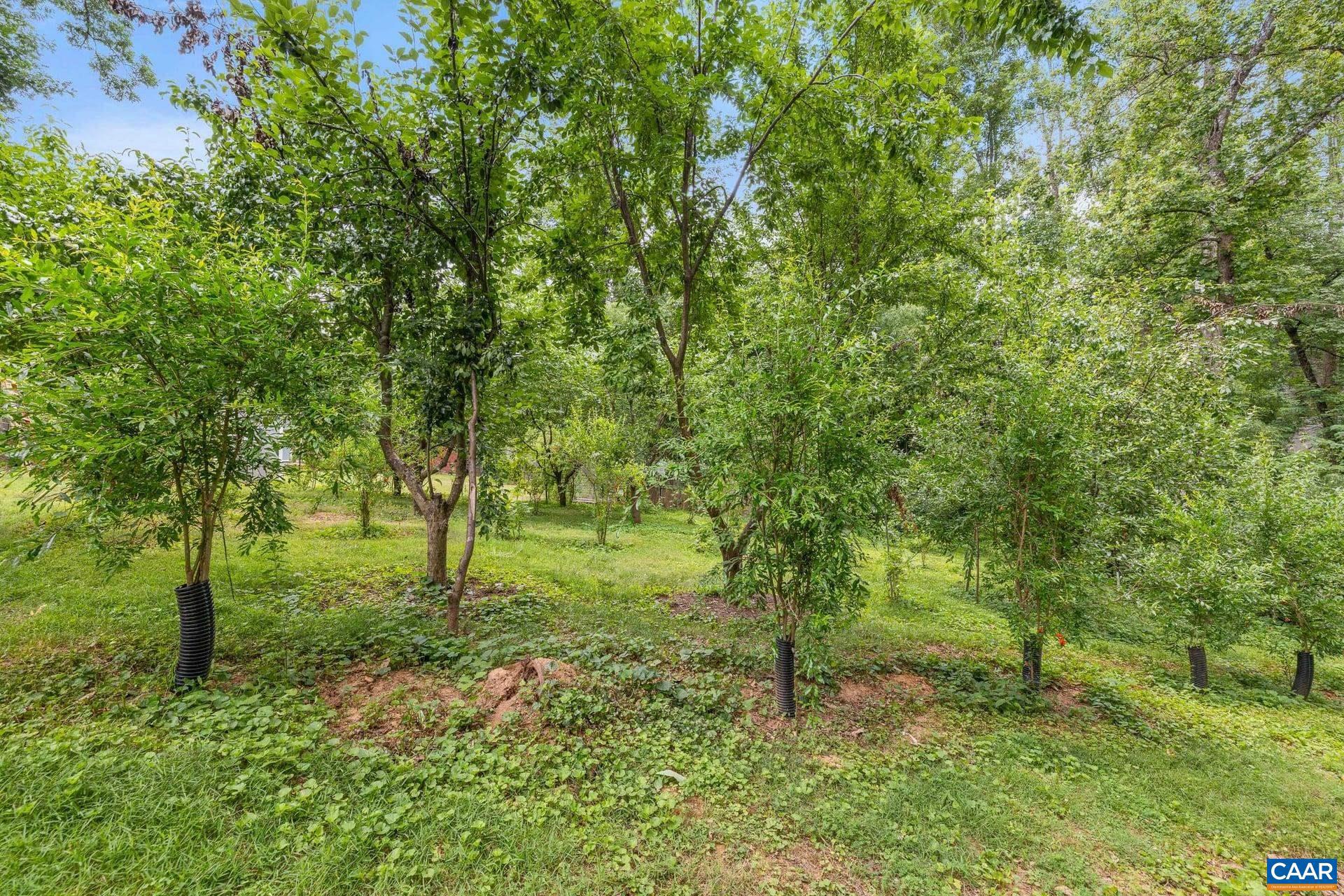 2417 Angus Road Charlottesville, VA 22901 - Photo 49 of 67