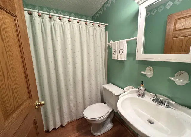 a bathroom with a sink and toilet