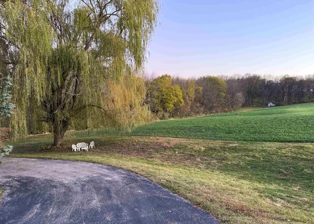 a view of a yard with a tree