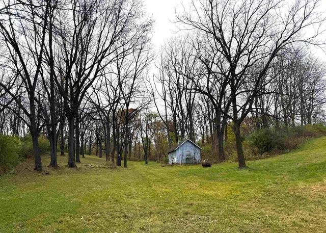 a view of a outdoor space with a tree
