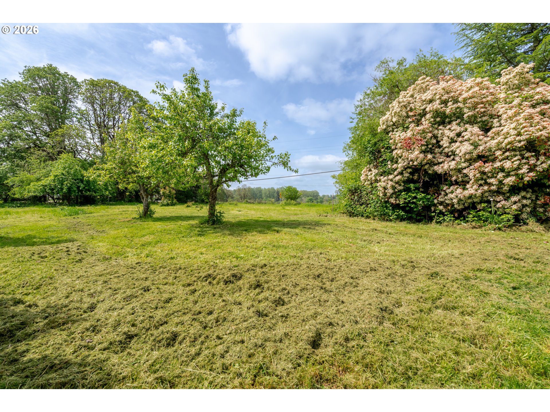 34965 Brewster Road Lebanon, OR 97355 - Photo 42 of 48 a view of a field with an trees