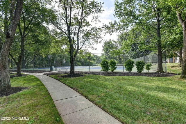a view of a park with large trees