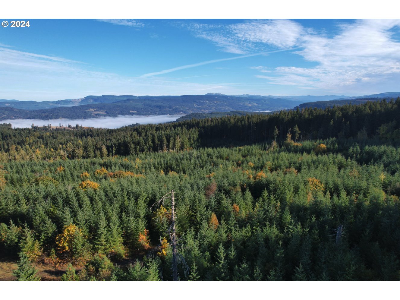 0 Cedar Flat Road Springfield, OR 97478 - Photo 4 of 22 a view of a lush green hillside and a mountain view