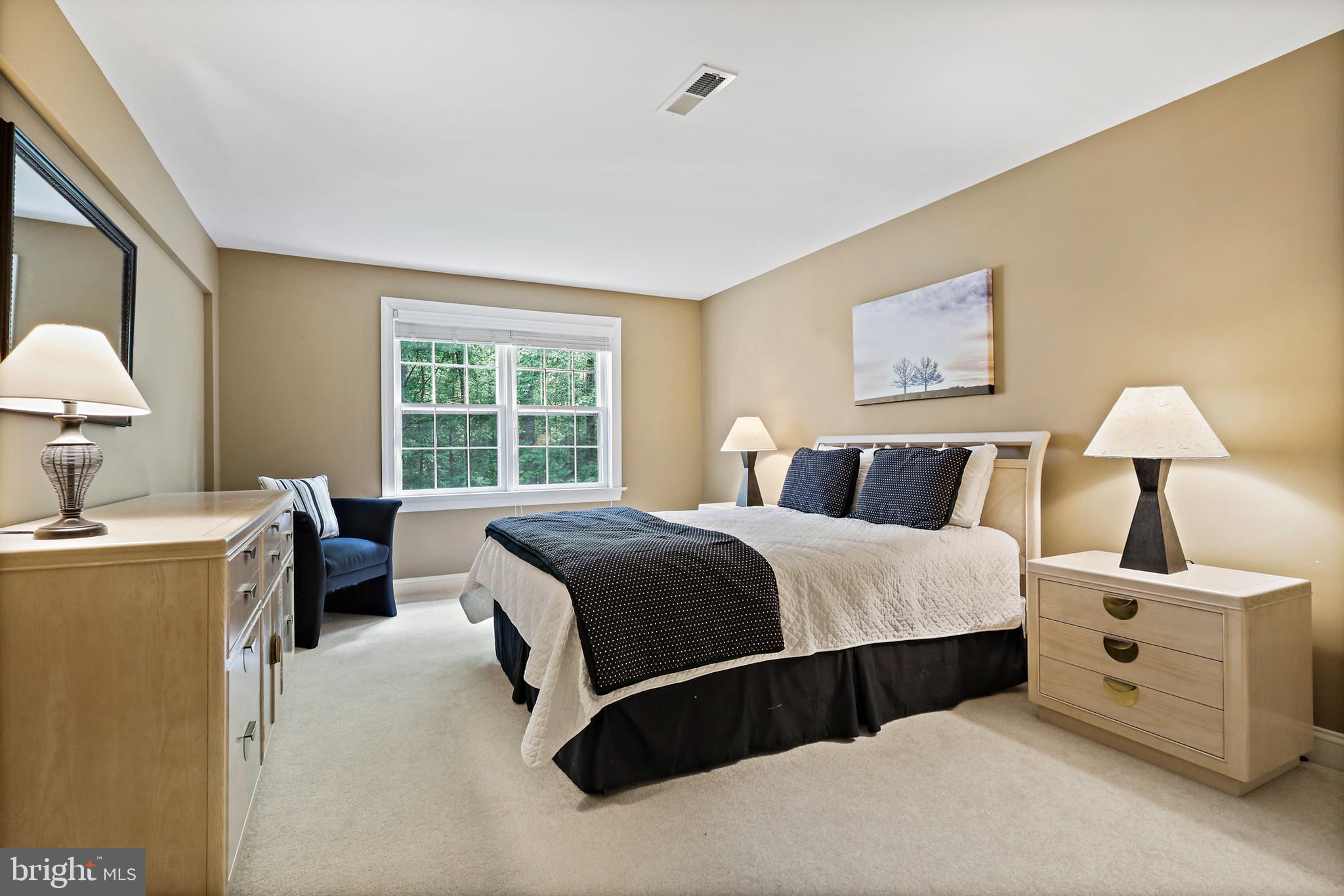 11406 Towering Oak Way Reston, VA 20194 - Photo 41 of 53 LL bedroom (#5)